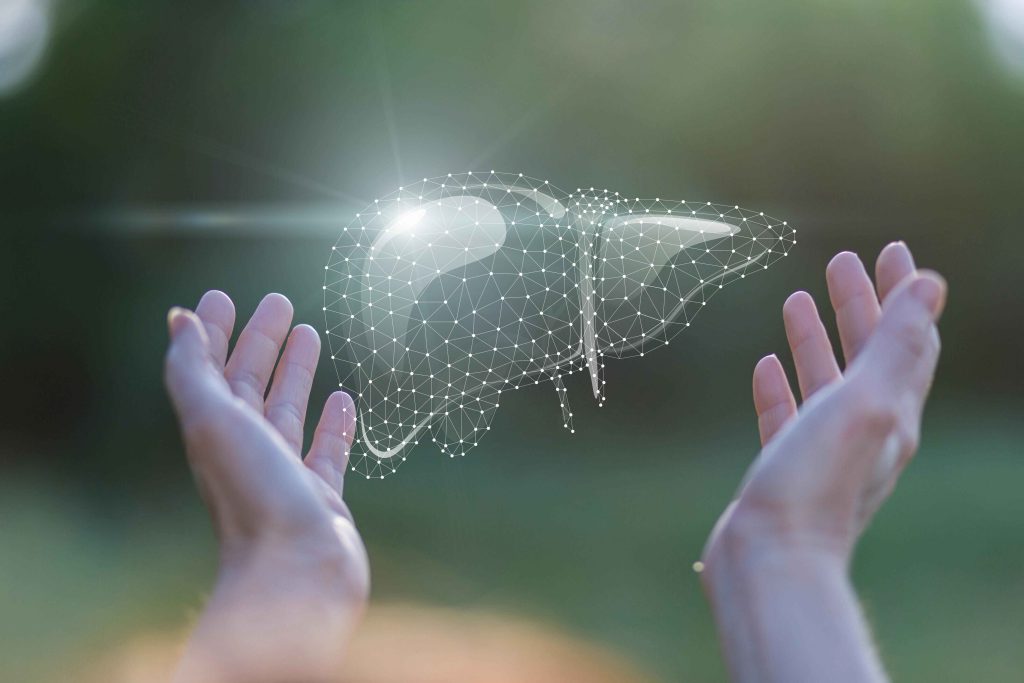 Support liver wellness